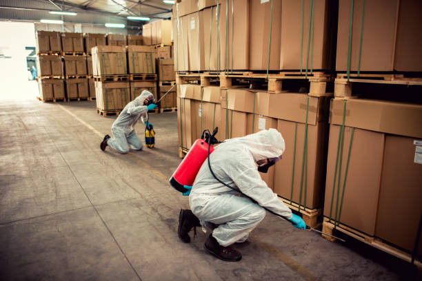 Best Exterminator Services  in Prestonsburg, KY