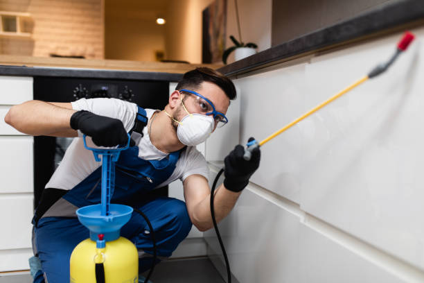 Best Wasp Removal Services  in Prestonsburg, KY