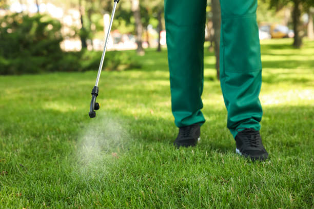 Pest Control for Restaurants in Prestonsburg, KY