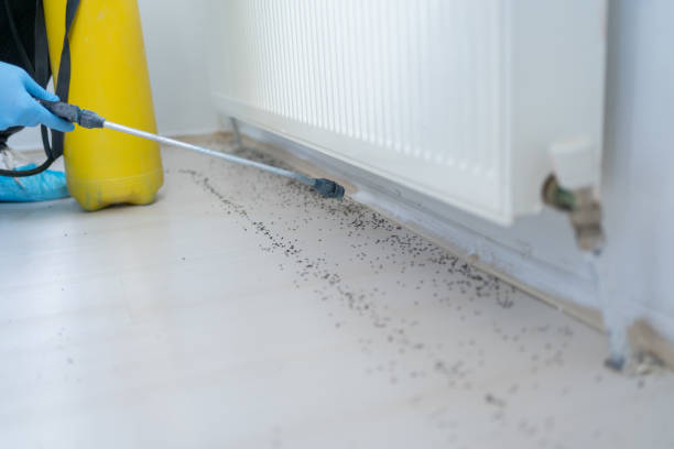 Best Best Pest Control Companies  in Prestonsburg, KY